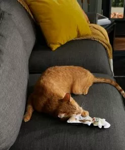 Frisco Halloween Good Witch, Bad Witch Reversible Plush Cat Toy with Catnip -The Frisco Store 270301 PT3. SY630 V1624824841