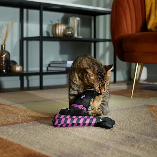 Frisco Halloween Witch Hat & Legs Plush Cat Toy with Catnip, 2 count 5 Frisco Halloween Witch Hat & Legs Plush Cat Toy with Catnip, 2 count - Image 3