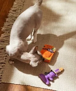 Frisco Halloween Monster Book & Candle Plush Cat Toy with Catnip, 2 count -The Frisco Store 270321 PT3. SY630 V1624824924