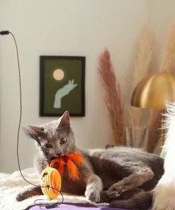 Frisco Halloween Teaser Wand Cat Toy with Catnip, 3 count -The Frisco Store 270341 PT3. SY630 V1624817557