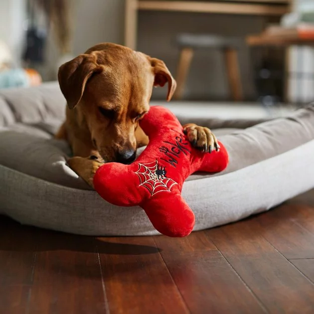 Frisco Wicked Cute Bone Reversible Plush Squeaky Dog Toy 6 Frisco Wicked Cute Bone Reversible Plush Squeaky Dog Toy - Image 4