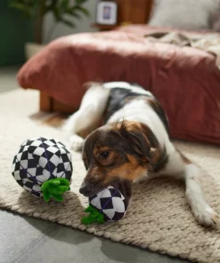 Frisco Halloween Fancy Pumpkin 2-in-1 Plush Squeaky Dog Toy -The Frisco Store 270359 PT3. SY630 V1624817665