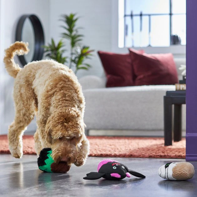 Frisco Cupcakes Plush Squeaky Dog Toy, 3 count 5 Frisco Cupcakes Plush Squeaky Dog Toy, 3 count - Image 3