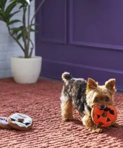 Frisco Halloween Donuts Plush Squeaky Dog Toy, 3 count -The Frisco Store 270369 PT3. SY630 V1624817409