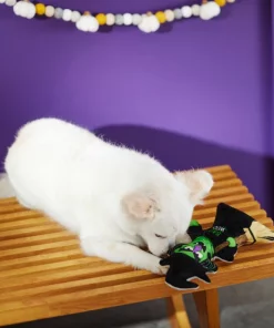 Frisco Halloween Good Witch, Bad Witch Reversible Plush Squeaky Dog Toy 9 Frisco Halloween Good Witch, Bad Witch Reversible Plush Squeaky Dog Toy -The Frisco Store 270429 PT3. SY630 V1624817643