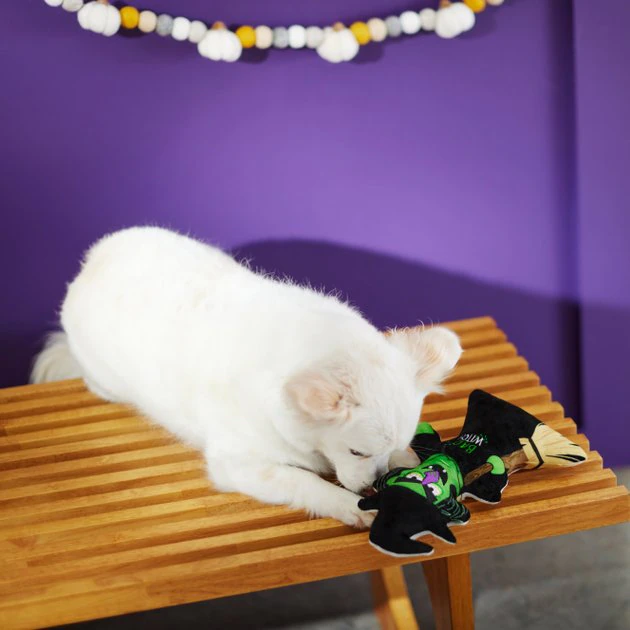 Frisco Halloween Good Witch, Bad Witch Reversible Plush Squeaky Dog Toy 6 Frisco Halloween Good Witch, Bad Witch Reversible Plush Squeaky Dog Toy - Image 4