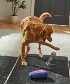 Frisco Halloween Mummy & Coffin Plush Squeaky Dog Toy, 2 count -The Frisco Store 270437 PT3. SY630 V1624817278