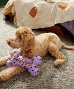 Frisco Halloween My First Halloween Bone Reversible Plush Squeaky Dog Toy 9 Frisco Halloween My First Halloween Bone Reversible Plush Squeaky Dog Toy -The Frisco Store 270452 PT3. SY630 V1624817314