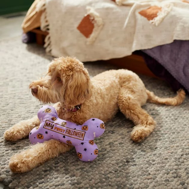 Frisco Halloween My First Halloween Bone Reversible Plush Squeaky Dog Toy 6 Frisco Halloween My First Halloween Bone Reversible Plush Squeaky Dog Toy - Image 4