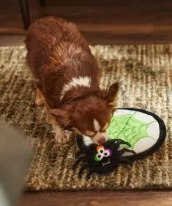 Frisco Spider's Web & Spider Flat Plush Interactive Squeaky Dog Toy, 2 count -The Frisco Store 270458 PT3. SY630 V1624817520