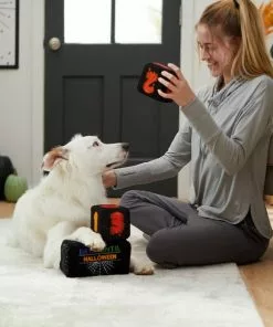 Frisco Halloween 30 Days of Halloween Countdown Blocks Plush Squeaky Dog Toy, 3 count -The Frisco Store 270494 PT3. SY630 V1624817483