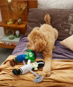 Frisco Frankenstein & Bride Plush with Rope Squeaky Dog Toy -The Frisco Store 270496 PT3. SY630 V1624824775