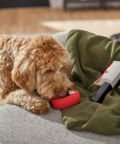 Frisco Halloween Vampire Teeth & Knife Latex Squeaky Dog Toy, 2 count 7 Frisco Halloween Vampire Teeth & Knife Latex Squeaky Dog Toy, 2 count -The Frisco Store 270512 PT3. SY630 V1624817093