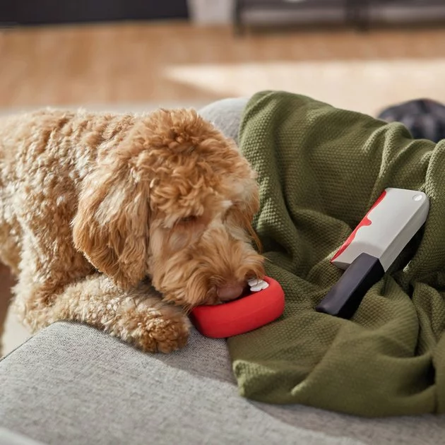 Frisco Halloween Vampire Teeth & Knife Latex Squeaky Dog Toy, 2 count 5 Frisco Halloween Vampire Teeth & Knife Latex Squeaky Dog Toy, 2 count - Image 3