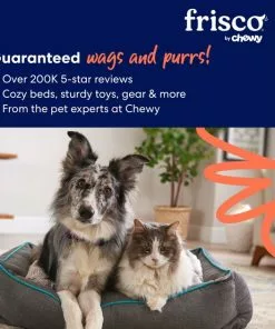 Frisco Halloween 13 Day Advent Calendar with Toys for Dogs -The Frisco Store 270527 PT8. SY630 V1659023514