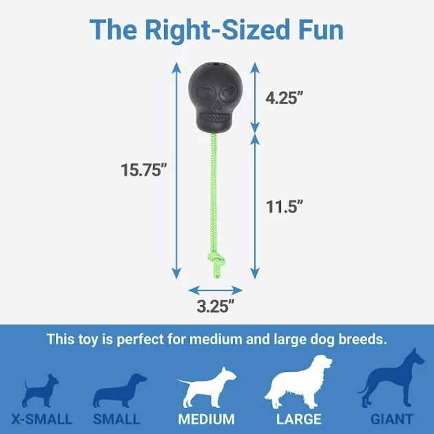 Frisco Skull with Rope Rubber Dog Toy 4 Frisco Skull with Rope Rubber Dog Toy - Image 2