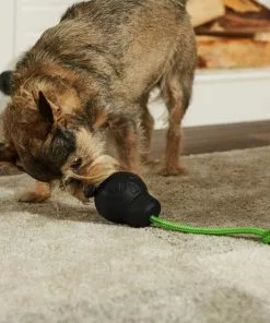 Frisco Skull with Rope Rubber Dog Toy 7 Frisco Skull with Rope Rubber Dog Toy -The Frisco Store 270531 PT3. SY630 V1624817785