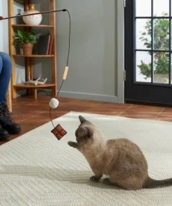 Frisco Camping S'mores Teaser Cat Toy with Catnip -The Frisco Store 270977 PT3. SY630 V1625009195