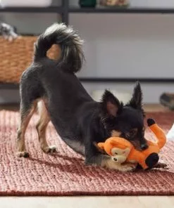 Frisco Camping Fox Plush Squeaky Dog Toy 7 Frisco Camping Fox Plush Squeaky Dog Toy -The Frisco Store 270993 PT3. SY630 V1625008975
