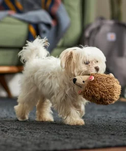 Frisco Camping Hedgehog Plush Squeaky Dog Toy 7 Frisco Camping Hedgehog Plush Squeaky Dog Toy -The Frisco Store 270995 PT3. SY630 V1625009251