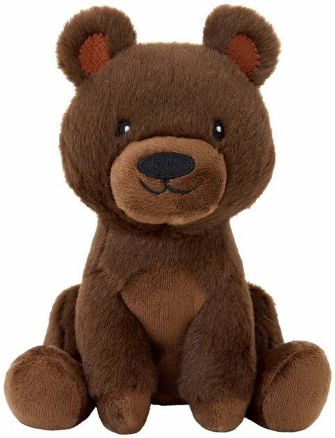 Frisco Camping Bear Plush Squeaky Dog Toy 3 Frisco Camping Bear Plush Squeaky Dog Toy
