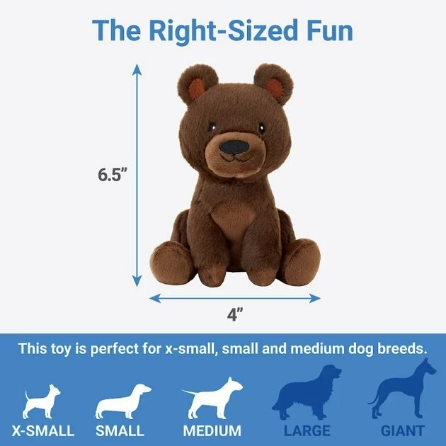 Frisco Camping Bear Plush Squeaky Dog Toy 4 Frisco Camping Bear Plush Squeaky Dog Toy - Image 2