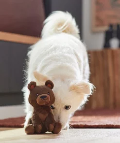 Frisco Camping Bear Plush Squeaky Dog Toy 7 Frisco Camping Bear Plush Squeaky Dog Toy -The Frisco Store 270999 PT3. SY630 V1625009284