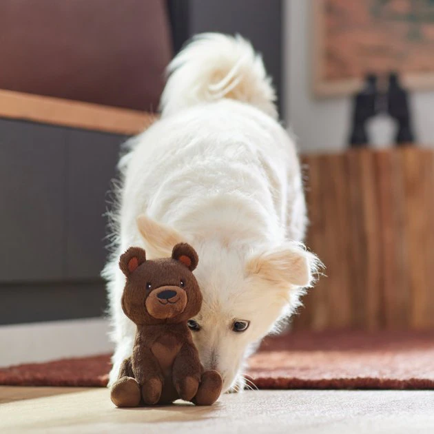 Frisco Camping Bear Plush Squeaky Dog Toy 5 Frisco Camping Bear Plush Squeaky Dog Toy - Image 3