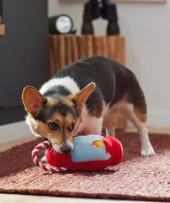 Frisco Camping Lantern Plush with Rope Squeaky Dog Toy -The Frisco Store 271013 PT3. SY630 V1625160766