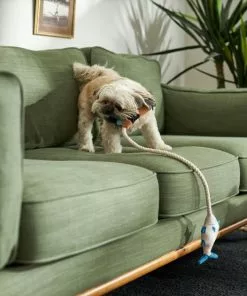 Frisco Camping Fishing Rod Plush with Rope Squeaky Dog Toy -The Frisco Store 271015 PT3. SY630 V1625009036