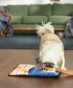 Frisco Camping Smores & Sleeping Bag Flat Plush Squeaky Dog Toy, 2 count -The Frisco Store 271018 PT3. SY630 V1625009010