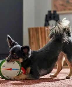 Frisco Camping Compass Plush with Rope Squeaky Dog Toy 7 Frisco Camping Compass Plush with Rope Squeaky Dog Toy -The Frisco Store 271020 PT3. SY630 V1625008965