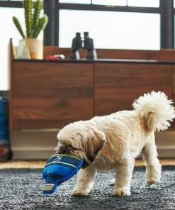 Frisco Camping Canteen Plush with Rope Squeaky Dog Toy 7 Frisco Camping Canteen Plush with Rope Squeaky Dog Toy -The Frisco Store 271022 PT3. SY630 V1625009237