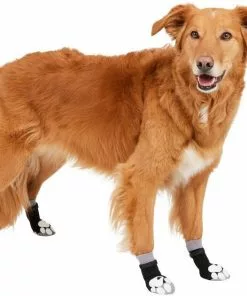 Frisco Non-Skid Dog Socks, Black 10 Frisco Non-Skid Dog Socks, Black -The Frisco Store 272491 PT2. SY630 V1634829737