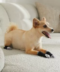 Frisco Non-Skid Dog Socks, Black 13 Frisco Non-Skid Dog Socks, Black -The Frisco Store 272491 PT8. SY630 V1634830475