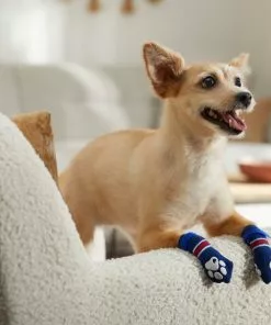 Frisco Non-Skid Navy Dog Socks, Red & White Stripe 13 Frisco Non-Skid Navy Dog Socks, Red & White Stripe -The Frisco Store 272499 PT8. SY630 V1634830361