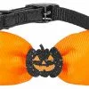 Frisco Black Glitter Cat collar with Pumpkin Bow