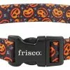 Frisco Spooky Pumpkin Dog Collar 2 Frisco Spooky Pumpkin Dog Collar -The Frisco Store 272878 MAIN. SY630 V1624047448