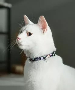Frisco Flying Ghosts Cat Collar 9 Frisco Flying Ghosts Cat Collar -The Frisco Store 272888 PT8. SY630 V1623879659