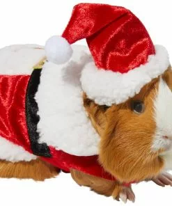 Frisco Santa Claus Guinea Pig Costume, One Size
