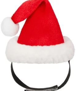 Frisco Santa Claus Guinea Pig Costume, One Size -The Frisco Store 276178 PT6. SY630 V1631303528