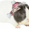 Frisco Red Plaid Guinea Pig Ruffle Collar with Pom Poms, One Size -The Frisco Store 276180 MAIN. SY630 V1631302644