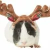 Frisco Holiday Antlers Guinea Pig Headpiece -The Frisco Store 276182 MAIN. SY630 V1631303077