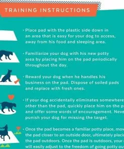 Frisco Training & Potty Pads, 22-in x 23-in, 150 count, Unscented & Frisco Extra Large Training & Potty Pads, 28-in x 34-in, 40 count, Unscented 19 Frisco Training & Potty Pads, 22-in x 23-in, 150 count, Unscented & Frisco Extra Large Training & Potty Pads, 28-in x 34-in, 40 count, Unscented -The Frisco Store 276223 PT8. SY630 V1616191304