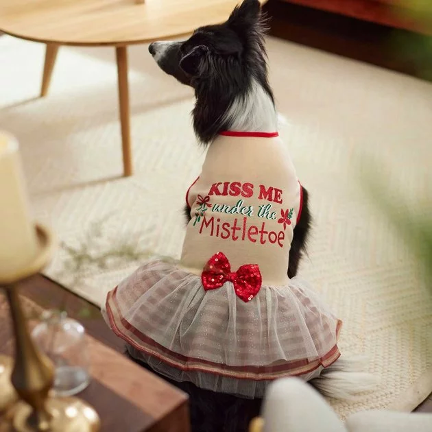 Frisco Kiss Me Under the Mistletoe Dog & Cat Dress 8 Frisco Kiss Me Under the Mistletoe Dog & Cat Dress - Image 6