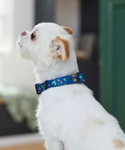 Frisco Camping Fun Dog Collar 9 Frisco Camping Fun Dog Collar -The Frisco Store 276637 PT3. SY630 V1623766574