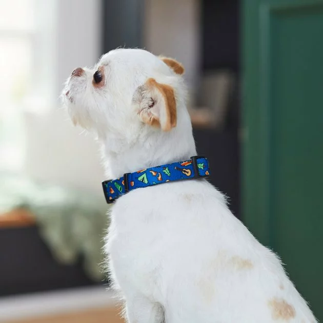 Frisco Camping Fun Dog Collar 6 Frisco Camping Fun Dog Collar - Image 4