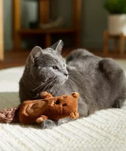 Frisco Camping Bear Kicker Cat Toy with Catnip -The Frisco Store 276762 PT3. SY630 V1625009229