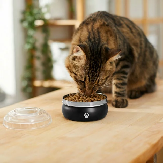 Frisco Travel Non-skid Stainless Steel Dog & Cat Bowl 6 Frisco Travel Non-skid Stainless Steel Dog & Cat Bowl - Image 4