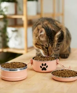 Frisco Complete Travel Stainless Steel Dog & Cat Feeder Bowl -The Frisco Store 277506 PT3. SY630 V1630347802